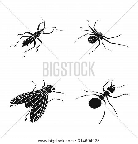 Vector Illustration Of Wings And Wing Symbol. Collection Of Wings And Fly Vector Icon For Stock.