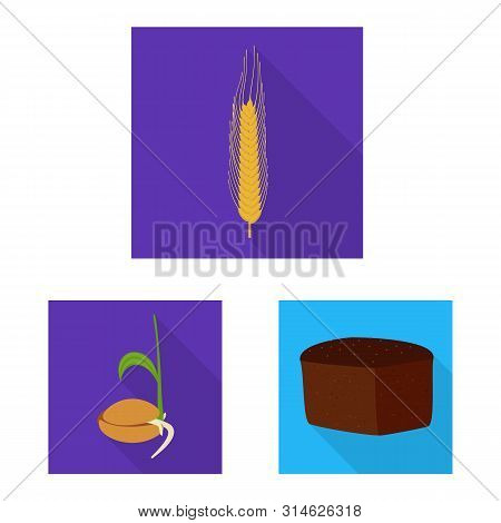 Vector Illustration Of Wheat And Corn Symbol. Set Of Wheat And Harvest Stock Vector Illustration.