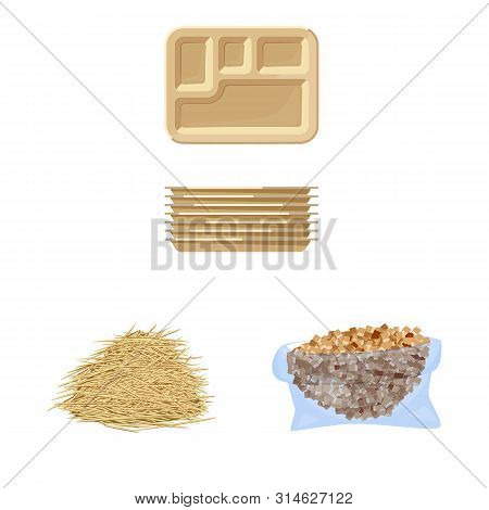 Isolated Object Of Sugarcane And Cane Logo. Collection Of Sugarcane And Field Vector Icon For Stock.