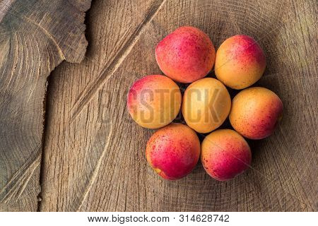 Small Orange Fruits Apricots Assembled In The Form Of Flower, Flat Lay Photography