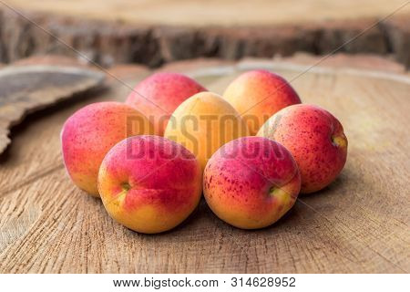 Ripe Apricots On Stump Composed In The Form Of Flower, Vega Food