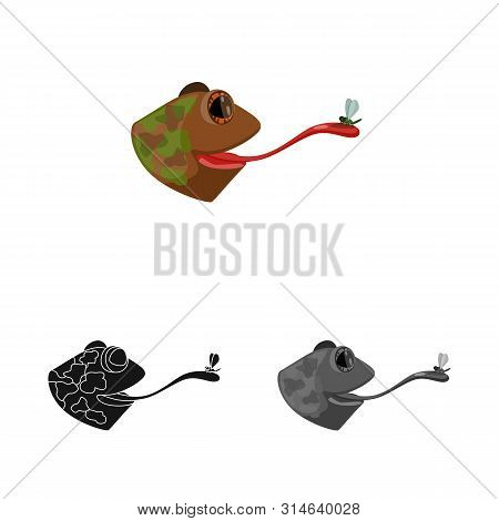 Vector Illustration Of Toad And Head Symbol. Collection Of Toad And Stickyl Vector Icon For Stock.