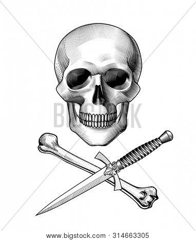 Human skull full face with crossed dagger with a decorative handle and bone. Horror and anatomy retro concept. Vintage engraving stylized drawing