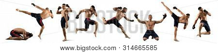 MMA collage. Martial arts fighter (MMA) isolated on white background