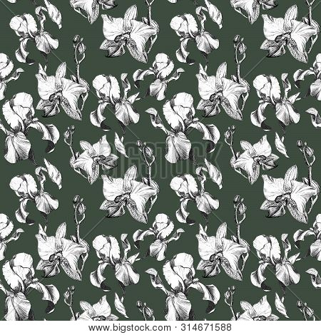 Floral Seamless Pattern With Hand Drawn Ink Iris And Orchid Flowers On Dust Green Background. Flower