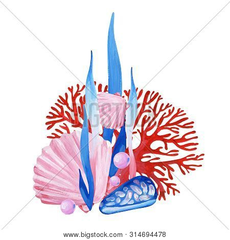 Hand-painted Clipart With Pink Shell, Red Coral, Blue Shell, Aglae