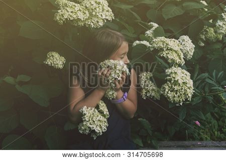 Cute Little Girl Smelling Hydrangea. Person Holding Flowers On Natural Background With Sushine. Chil