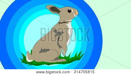 Colorful Illustration Of A Wild Rabbit That Sits On The Green Grass.
