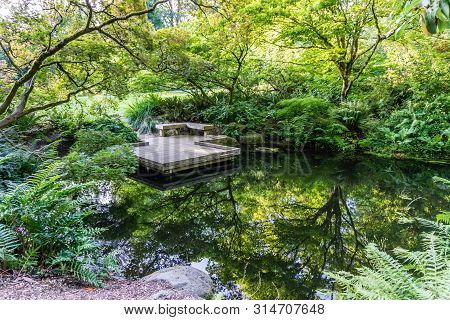 Foliage Is Reflected In A Pond At The Seattle Arboretum.