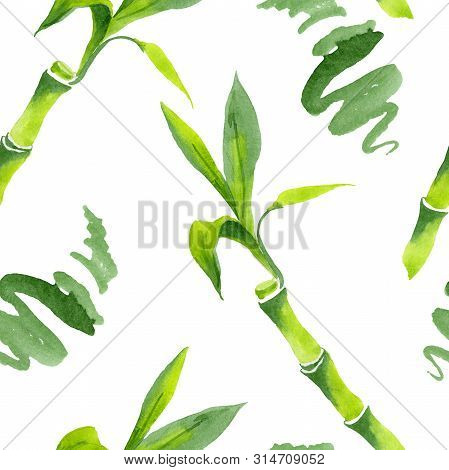 Bamboo Green Leaves. Watercolor Background Illustration Set. Seamless Background Pattern.