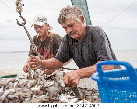 BEAUFORT, SOUTH CAROLINA-SEPTEMBER 14, 2015: Two unidentified fishermen sort a catch of shrimp on the deck of a commercial fishing boat off the coast of South Carolina.
