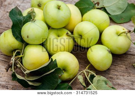 Fresh Ripe Apples On Rustic Wooden Table