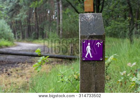 Forest Walking Path Network Signpost In Kempen Forest, Brabant, Netherlands