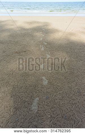 Footprint On Sand  Against The Beach And Sky