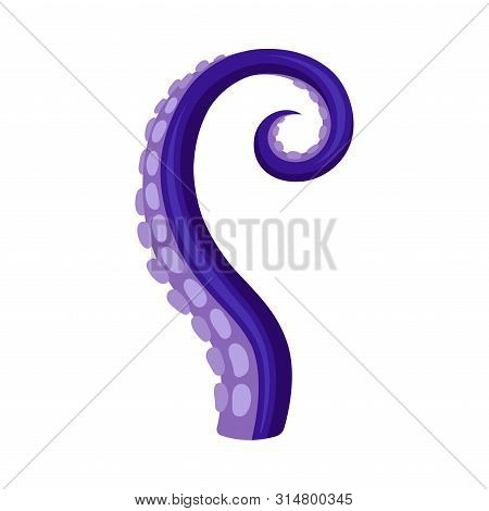 Violet Tentacle Of The Octopus Is Bent Down By A Semiring. Vector Illustration On White Background.