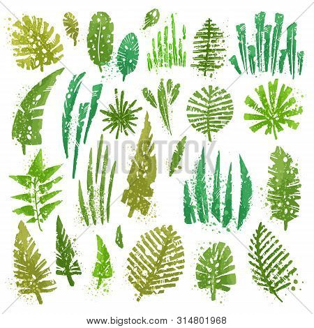 Tropical Textured Leaves Set With Expressive Watercolor Splashes And Grunge Texture. Isolated Elemen
