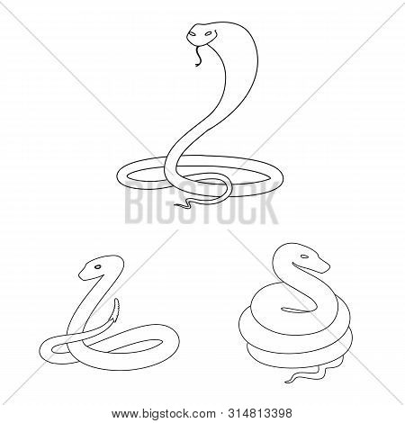 Vector Design Of Poison And Evil Logo. Set Of Poison And Bite Vector Icon For Stock.