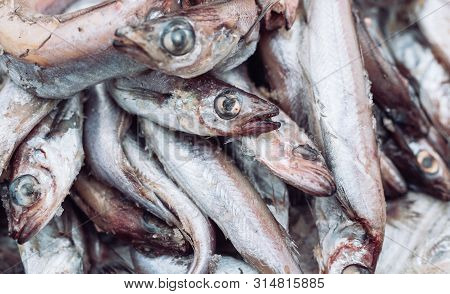 Fresh Fish In The Store On The Background.