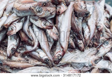 Fresh Fish In The Store On The Background.