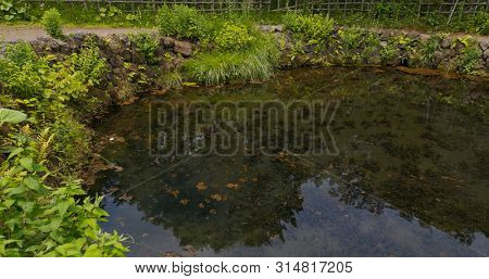 Water pond in Oshino Hakkai