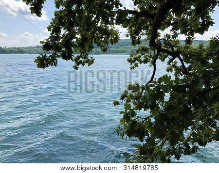 Landscape Of The Lake Constance By The Mainau Island (flower Island Mainau On The Lake Constance) - 