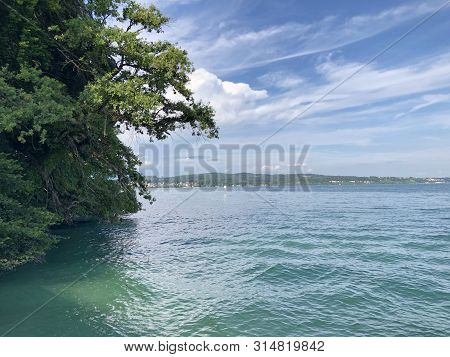 Landscape Of The Lake Constance By The Mainau Island (flower Island Mainau On The Lake Constance) - 