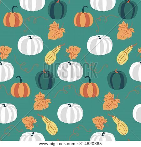 White And Orange Pumpkins In An Autumn Pattern Design