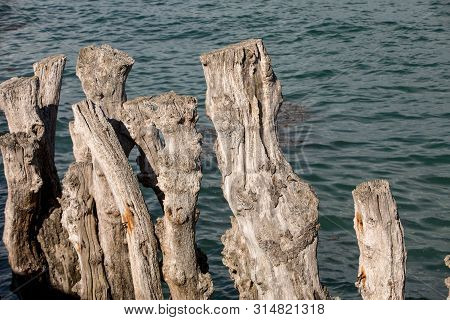 Big Breakwater, 3000 Trunks To Defend The City From The Tides, Plage De L Eventail Beach In Saint-ma