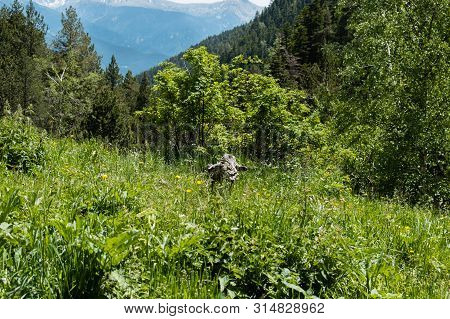 Beautiful Landscape Mountains In Summer At Parc Natural Del Comapedrosa, Andorra