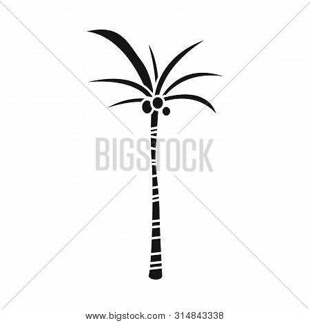 Vector Design Of Palm And Exotic Sign. Set Of Palm And Trunk Stock Vector Illustration.