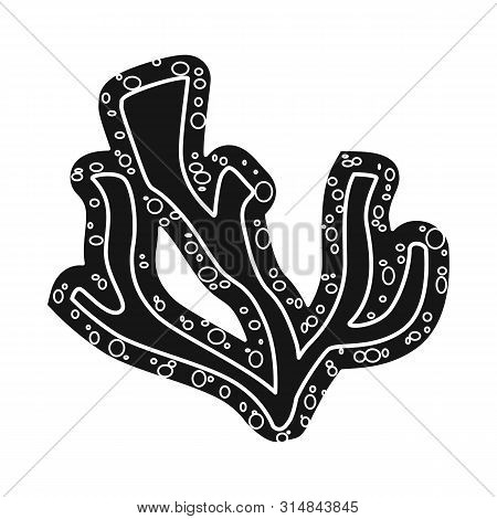 Vector Design Of Lichen And Algae Sign. Set Of Lichen And Water Stock Vector Illustration.