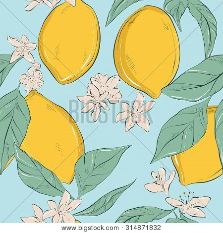 Lemon Background. Vector Hand-drawn Fruit Pattern With Flowers And Leaves. Organic Botanical Pattern