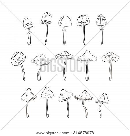 Black And White Mushrooms Set. Simple Line Icons. Vector Illustration.