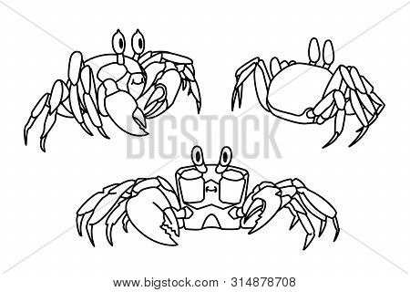 Vector Cartoon Animal Clip Art Atlantic Ghost Crab