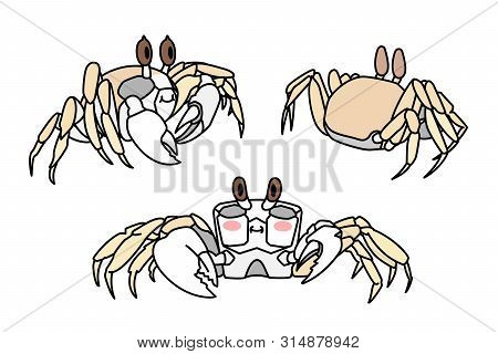 Vector Cartoon Animal Clip Art Atlantic Ghost Crab