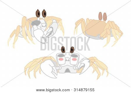 Vector Cartoon Animal Clip Art Atlantic Ghost Crab