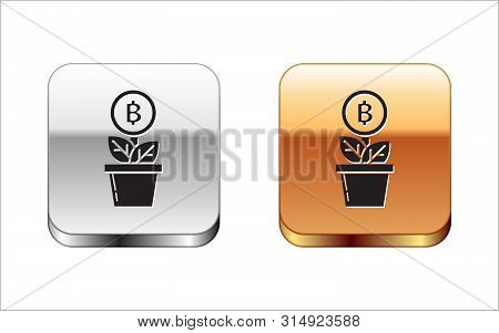 Black Bitcoin Plant In The Pot Icon Isolated On White Background. Business Investment Growth. Blockc