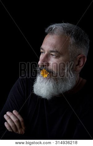 Portrait Of A Brutal Gray Haired Man With A Beard With A Sly Expression On His Face And A Yellow Flo