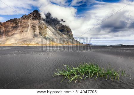 Dramatic Sunny Day And Gorgeous Rippled Black Sand Beach And Green Grass On Stokksnes Cape In Icelan