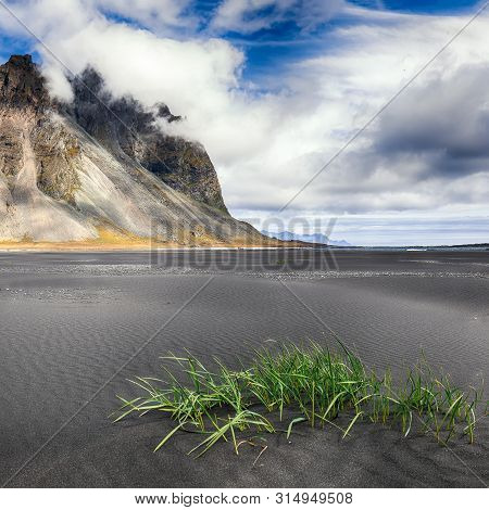 Dramatic Sunny Day And Gorgeous Rippled Black Sand Beach And Green Grass On Stokksnes Cape In Icelan