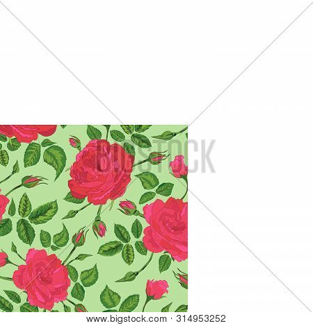 Raster Illustration. Pink Rose Bushes Forest With Leaves And Buds. Seamless Repeat Pattern. Light Gr