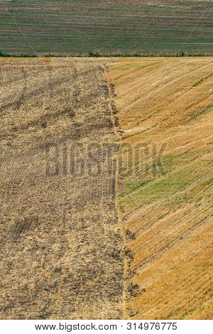 Several Straw Swaths, With Wheat Stubble In Between, Left In Straight Lines On The Sloping Field By