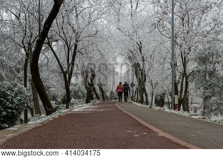 People Walking On The Street. Real People. View Vrom Behind.