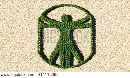 Concept or conceptual group of green forest tree on dry ground background, sign of  vitruvius man. A 3d illustration metaphor for architecture, renaissance, anthropology and physiology
