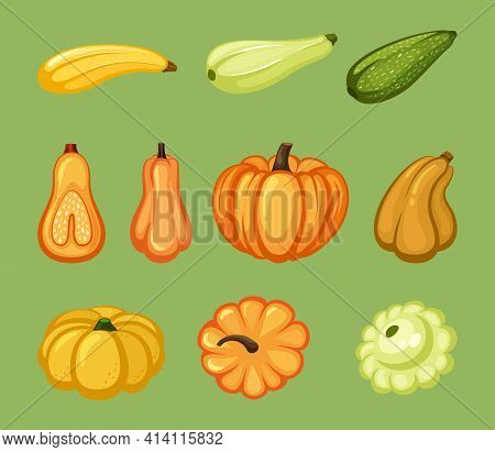 Pumpkins And Zucchini Set. Ripe Yellow Vegetable With Green Organic Veins Star Shaped Round Squash B