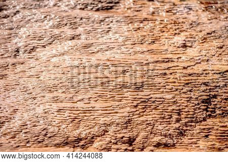 Travertine Terraces, Mammoth Hot Springs In Yellowstone
