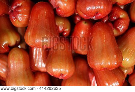 Pile Of Vibrant Red Waxy Skin Watery Rose Apple Fruits Also Known As 