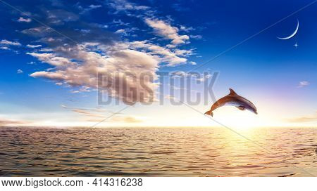 Dolphin Surge, Amid Seawater, A Young Month In The Clouds