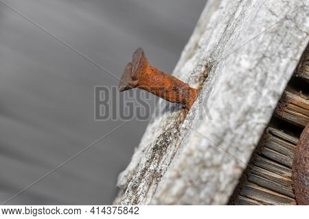 Close up shot of rusty nail on a wooden plank 