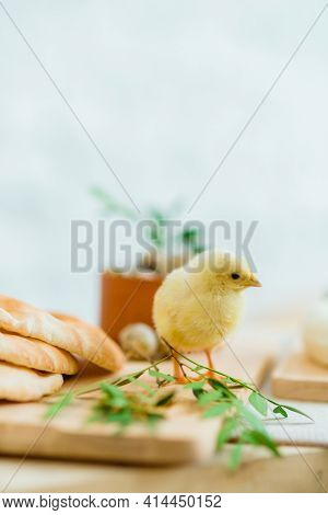 Tender Little Chicken On The Table With Easter Deoration, Bread, Cheese And Greenery. Free Copy Spac
